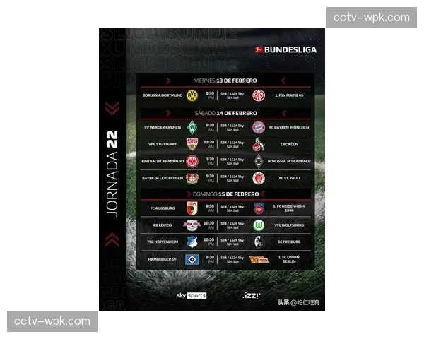 德国气象局发布预警,本轮多场德甲比赛可能受恶劣天气影响