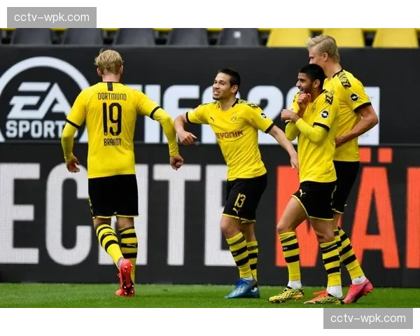 德甲“奶牛”庆祝回归:弗赖堡球迷在保级关键战后再次将真牛带入球场 德甲“奶牛”庆祝回归:弗赖堡球迷在保级关键战后再次将真牛带入球场