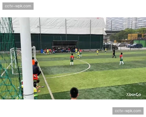 通讯：跟随镜头，记录一支业余垒球队的周末联赛日常